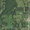 Man stung by bees falls and hits head in Kewaskum
