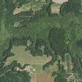 Woman falls off horse with possible broken arm in Michigan