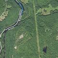 Report of illegal camper near Coolidge Woods Road