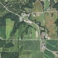 Loose cow on roadway near Schultz Road and Highway 33