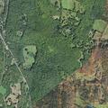 Female patient breathing shallowly near Route (number withheld) in Hartland