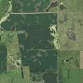 Person bleeding while urinating near 263rd St in Platte, SD