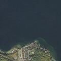 Older man lying on grass at Lakeshore Park
