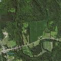 88-year-old woman with nausea near Orwell intersection