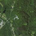 87-year-old female possibly fell near County Route 22