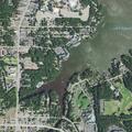 Reckless driving reported near East Adams Street