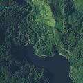 Person found semi-conscious after water rescue at Loon Lake