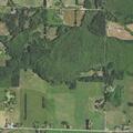 Man with low blood sugar and altered consciousness near Nine Mile Road