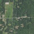 Animal complaint reported on Alger Avenue
