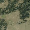 Loose horses entered nearby national forest