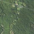 Automatic fall triggers search near Grafton