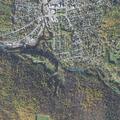 Report of stolen dog at Goodwin Park