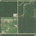 Elderly woman with fever and abnormal breathing in Grand Meadow
