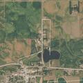 Cow loose near Highway 38 and Stafford Street