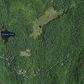 82-year-old man fallen and unconscious in Brant Lake