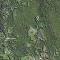 81-year-old male with fever near Prospect Hill Road