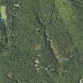 81-year-old male falls and injures back in Canaan