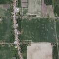 Elderly woman bleeds after flu shot at nursing home