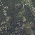 84-year-old man falls and hits head in Gorham