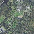 65-year-old woman injured after dog pulls her down