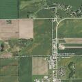 Loose calf near highway north of Markesan