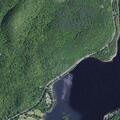 Jet skier reported harassing ducks on lake