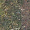 Elderly woman with altered mental status and pain near Shapley Corner Road