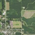 81-year-old man feels dizzy near Brownsdale