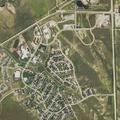 Loose dogs reported near High Ridge Circle