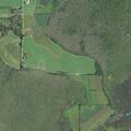 Suspicious person reported near wildlife area