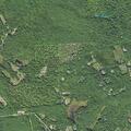 84-year-old woman fell but denied injuries in Holderness