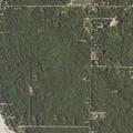 Grass fire reported near gas station in Sanford