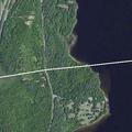 Male running erratically near Route 9