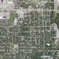 Loose dogs in roadway near West Monona Street