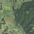 Animal welfare complaint on County Highway T