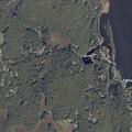 Brush fire on Youngs Lane in Phippsburg