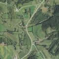 Loose animal reported on County Highway Z