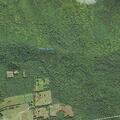 Tree blocking roadway on Route 175 in Campton