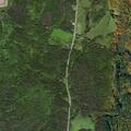 Tree blocking roadway on County Route 95