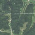 Man falls from tree stand with possible broken ribs