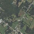 Report of tree on fire on Gray Road