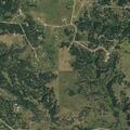 Deer fawn reported in driveway on Ghost Canyon Road