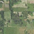 Person reported sick near Deer Lake Road in Crystal Forest