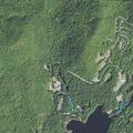 Juveniles accused of theft given trespass warnings