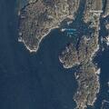 Man slips on seaweed and injures knee near shore