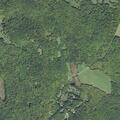 86-year-old man fainting near Cross Road in Sharon