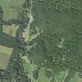 Wire down reported on Woodford Road in Lyme