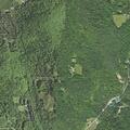 Teen female falls near Perry Wing Road