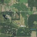 Ongoing loose dog issue reported on 8th Drive
