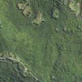Person conscious but not alert after head injury in NH